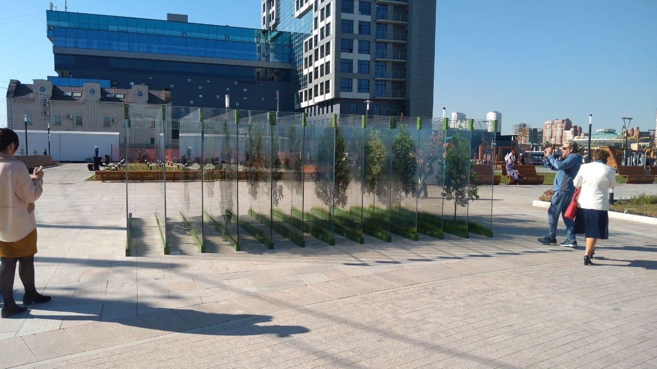Стеклянный лес