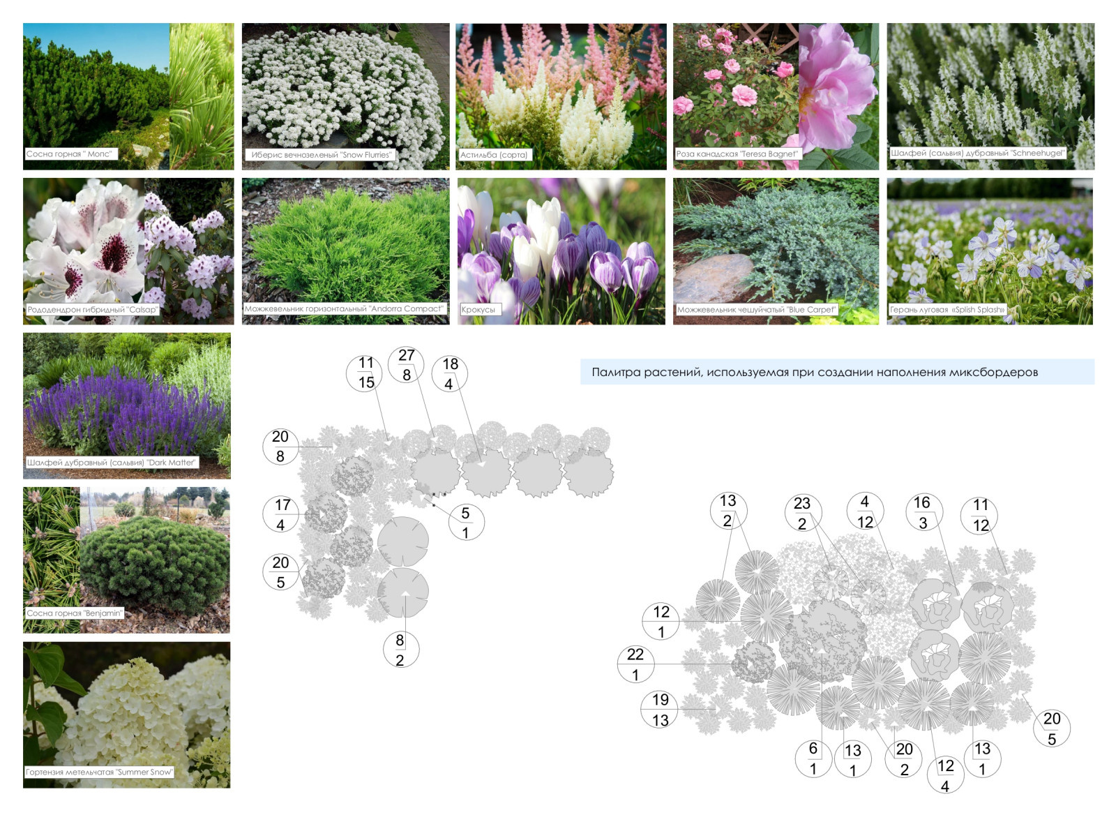 Палитра растений