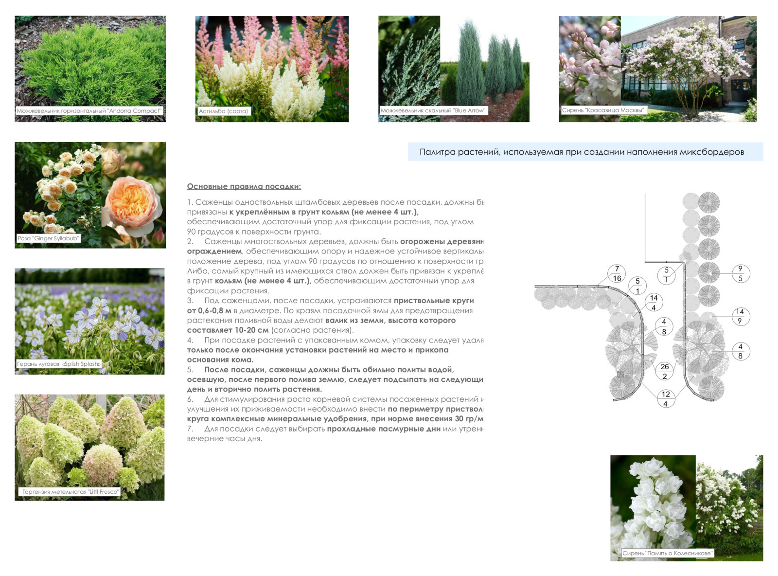 Палитра растений