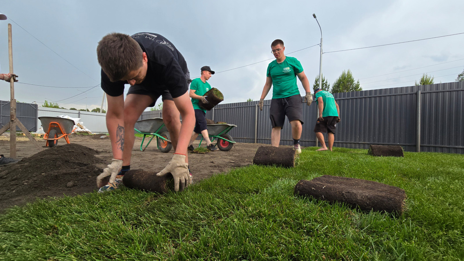 Укладка рулонного газона