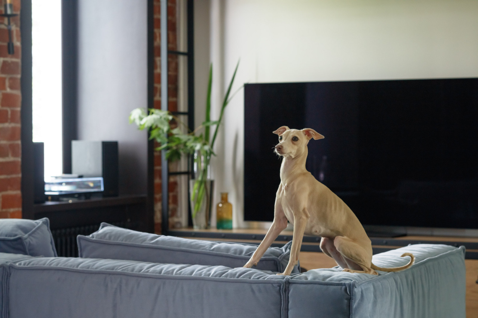 Сад эрмитаж