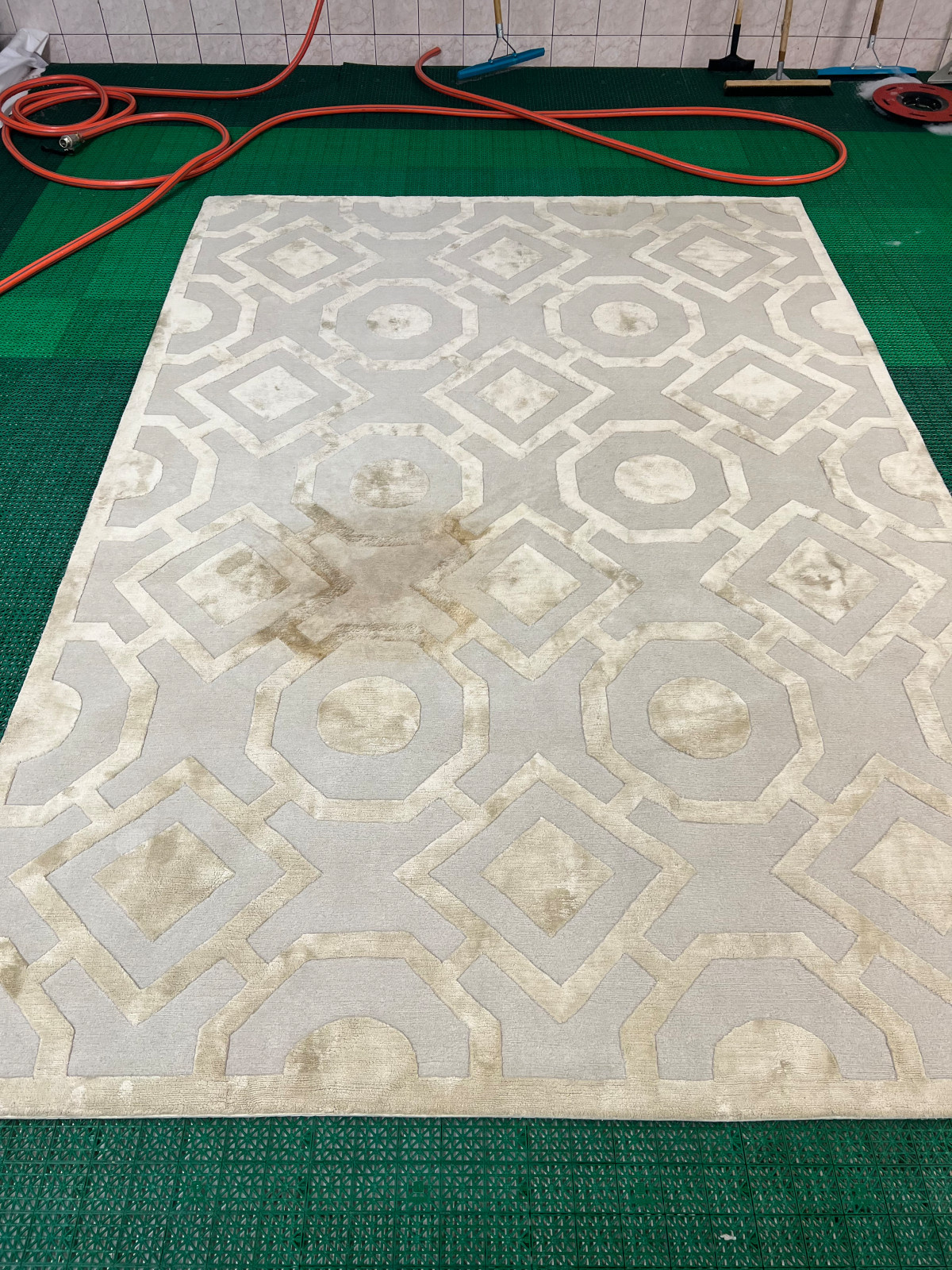 Ковер rug company ( удаляем пятна чая испорчен домашней чисткой )