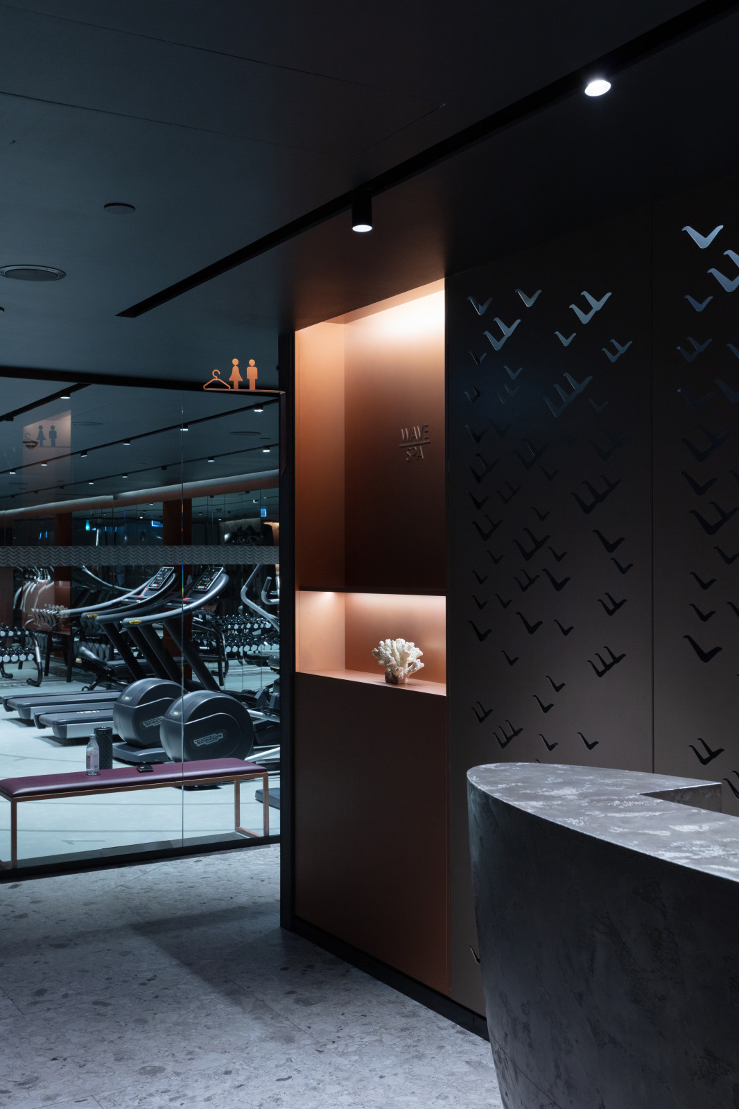 Гостиница «Mövenpick»