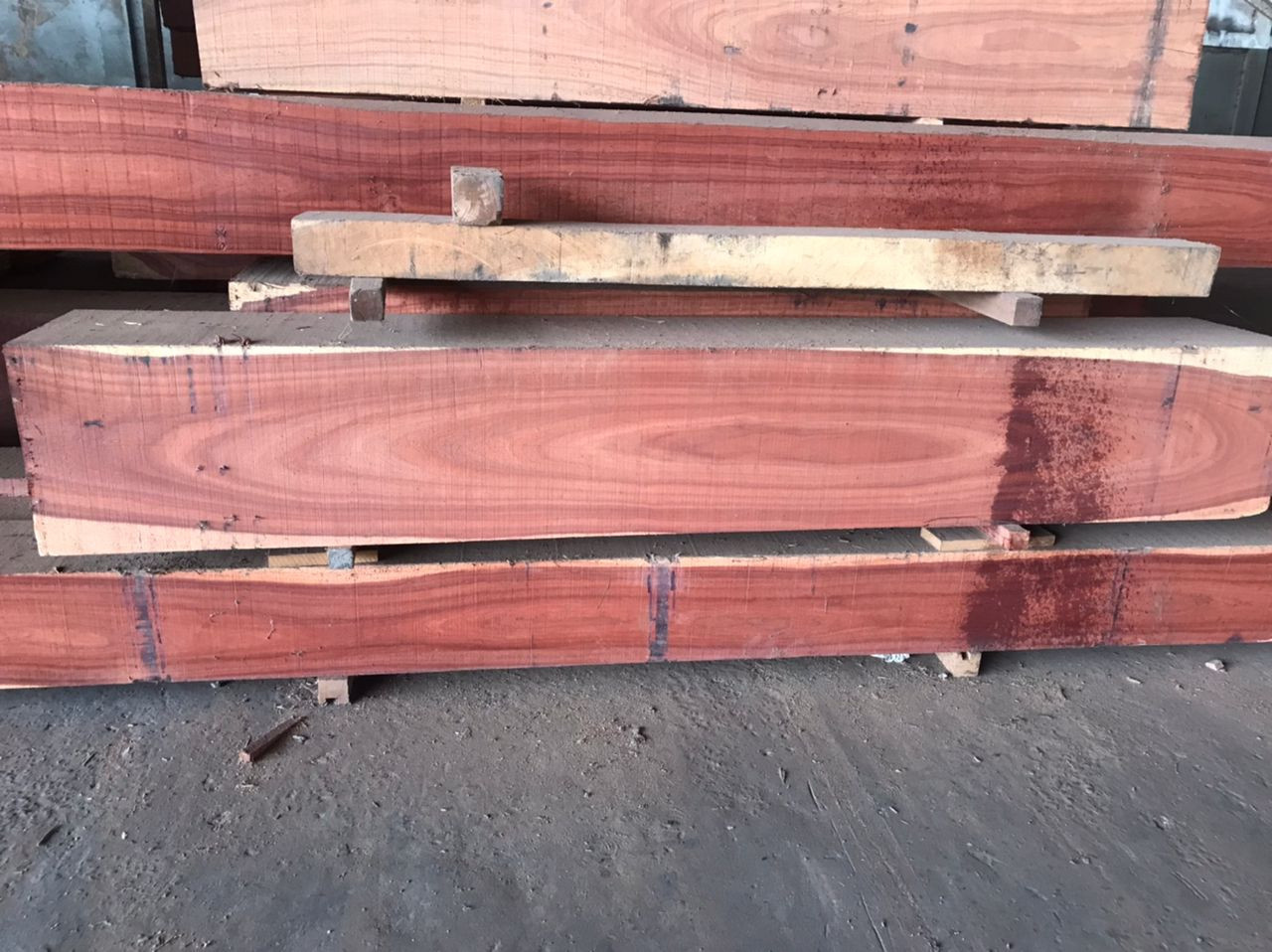 Delivery of tropical woods and lumber from DR Congo