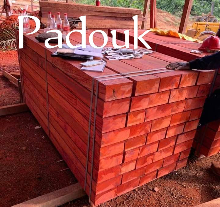 Delivery of tropical woods and lumber from DR Congo