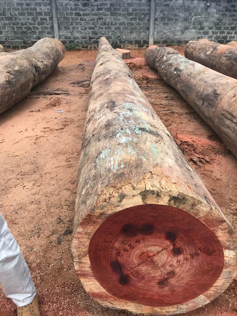 Delivery of tropical woods and lumber from DR Congo