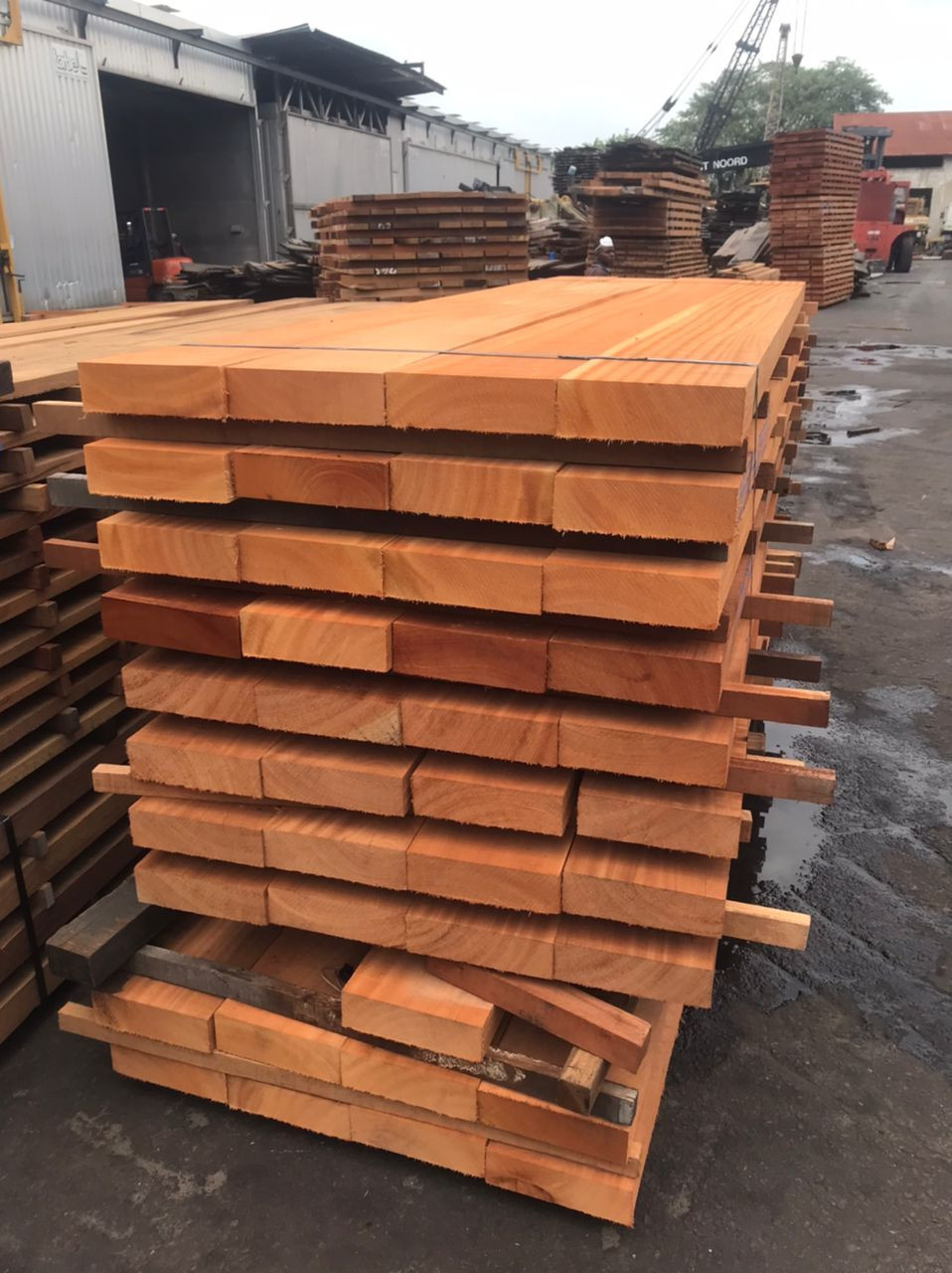 Delivery of tropical woods and lumber from DR Congo