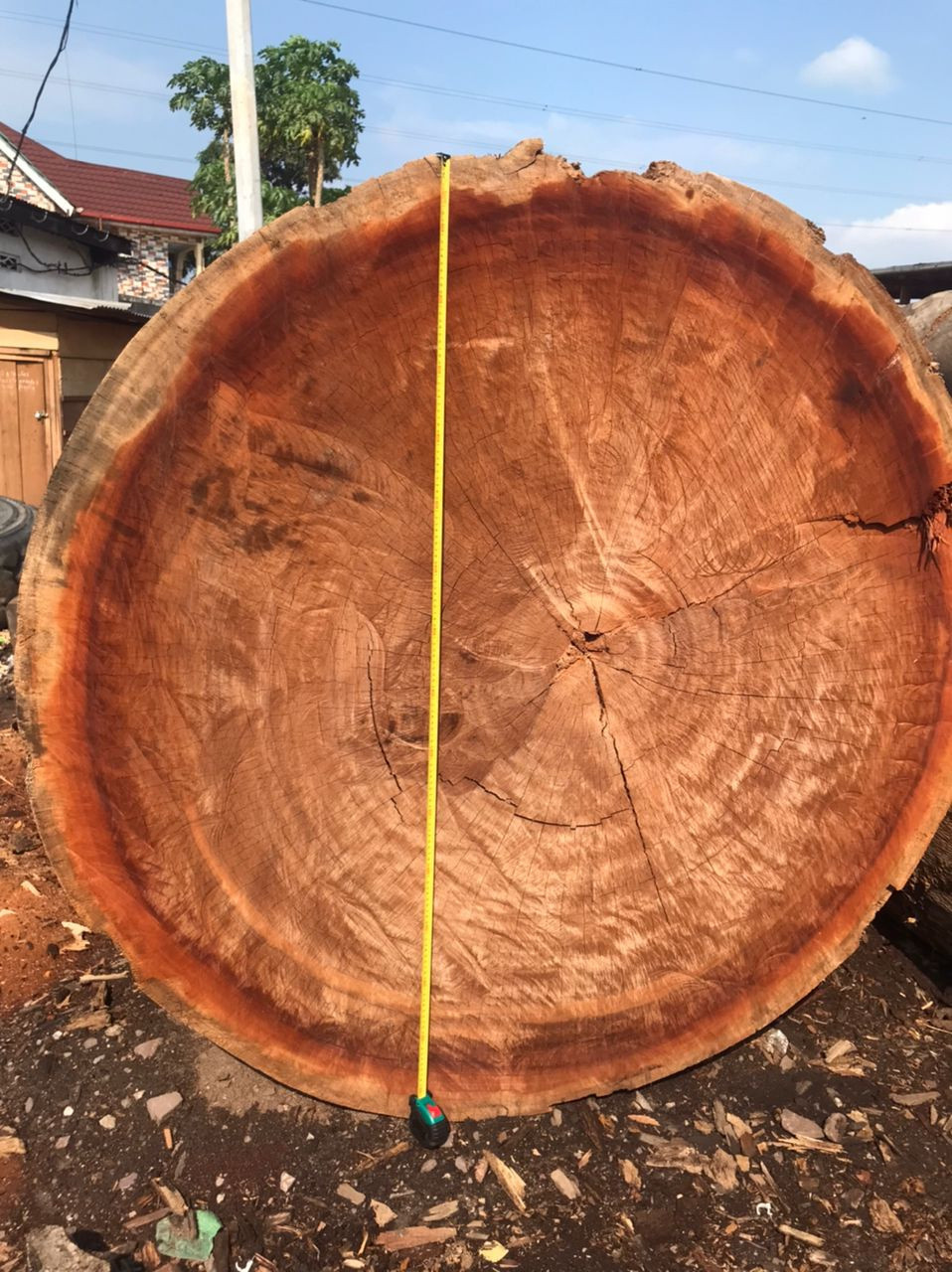 Delivery of tropical woods and lumber from DR Congo