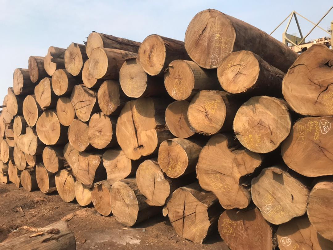 Delivery of tropical woods and lumber from DR Congo