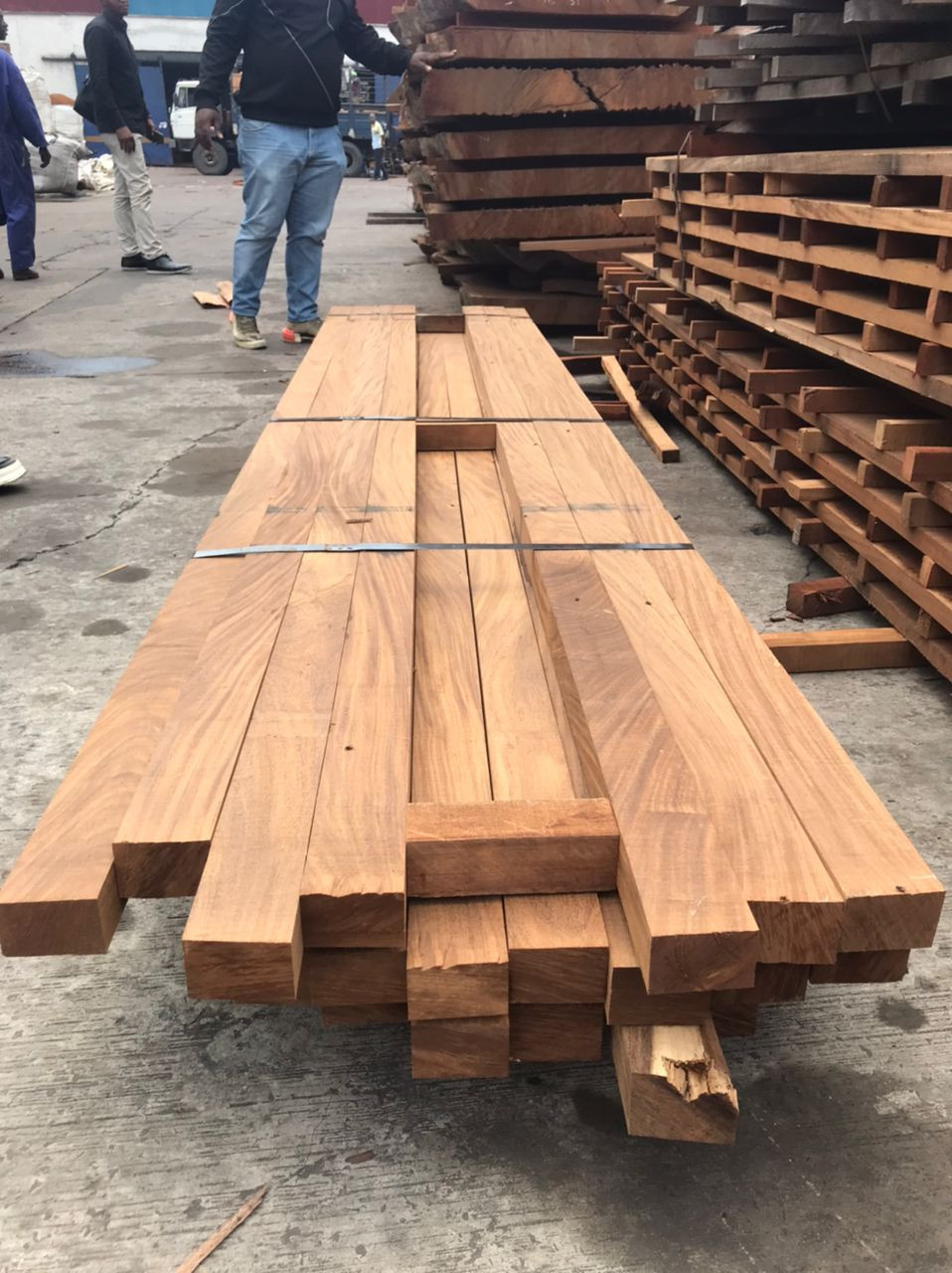 Delivery of tropical woods and lumber from DR Congo