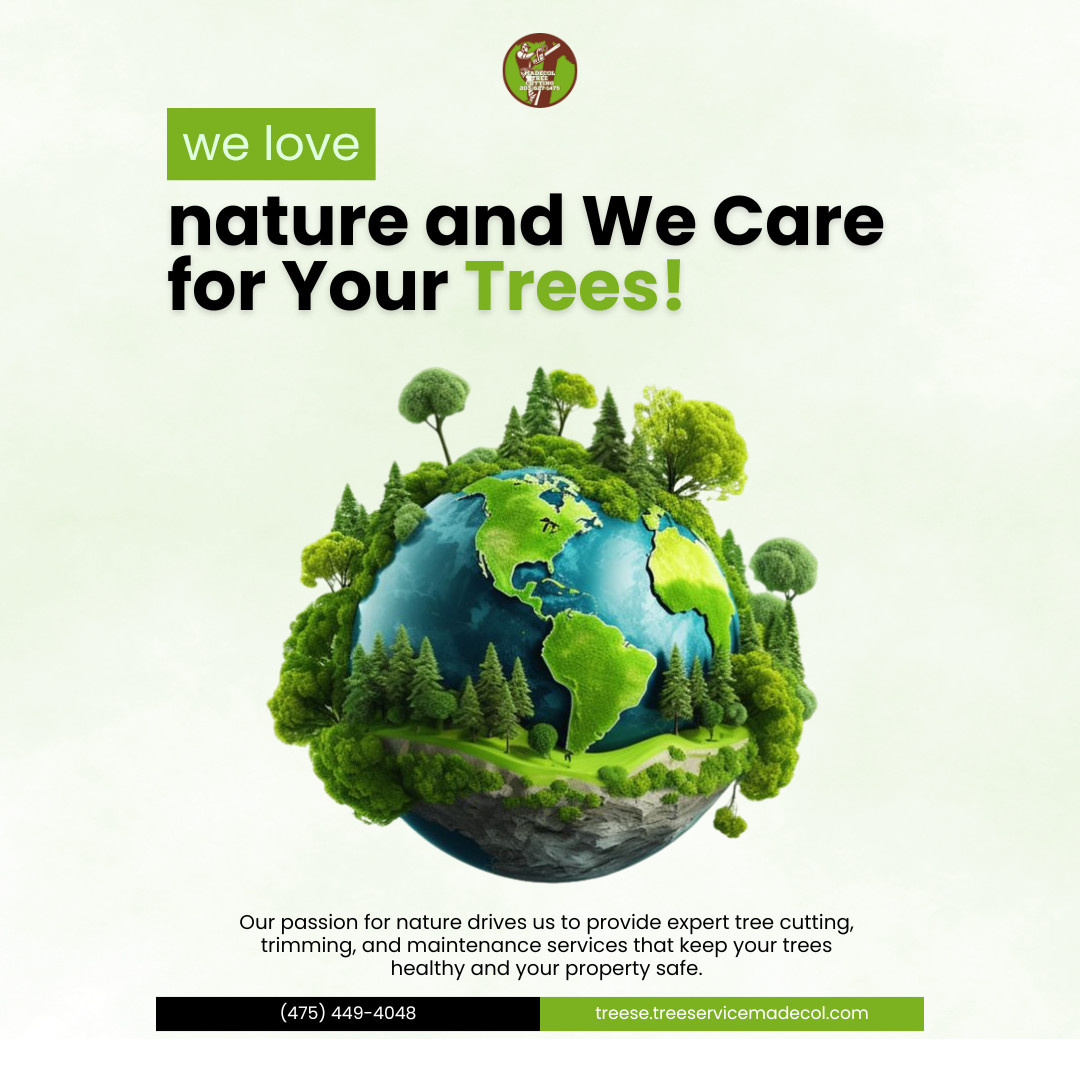 Обложка проекта: Tree Maintenance in New Haven, CT