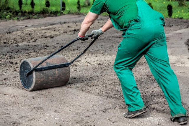 Рулонный газон Красноярск