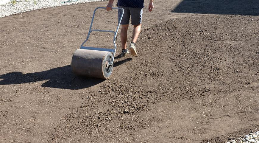 Рулонный газон Красноярск