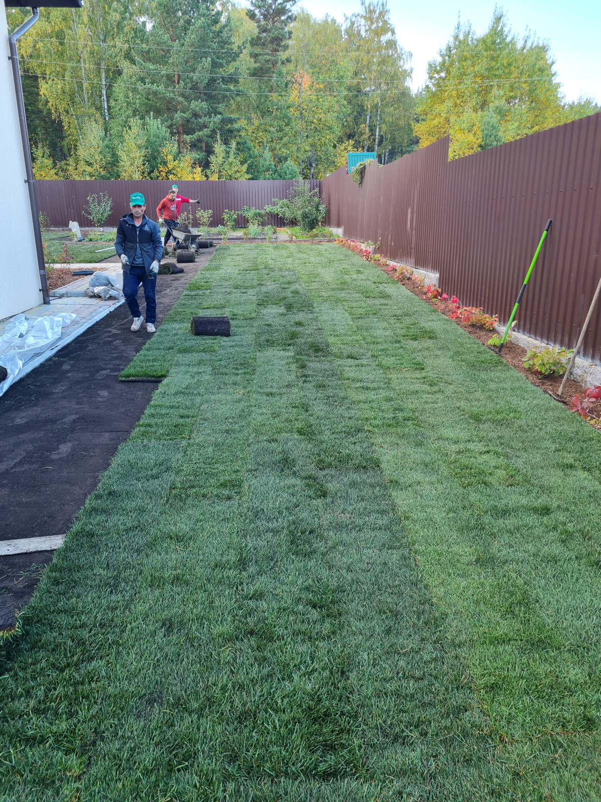 Рулонный газон Красноярск