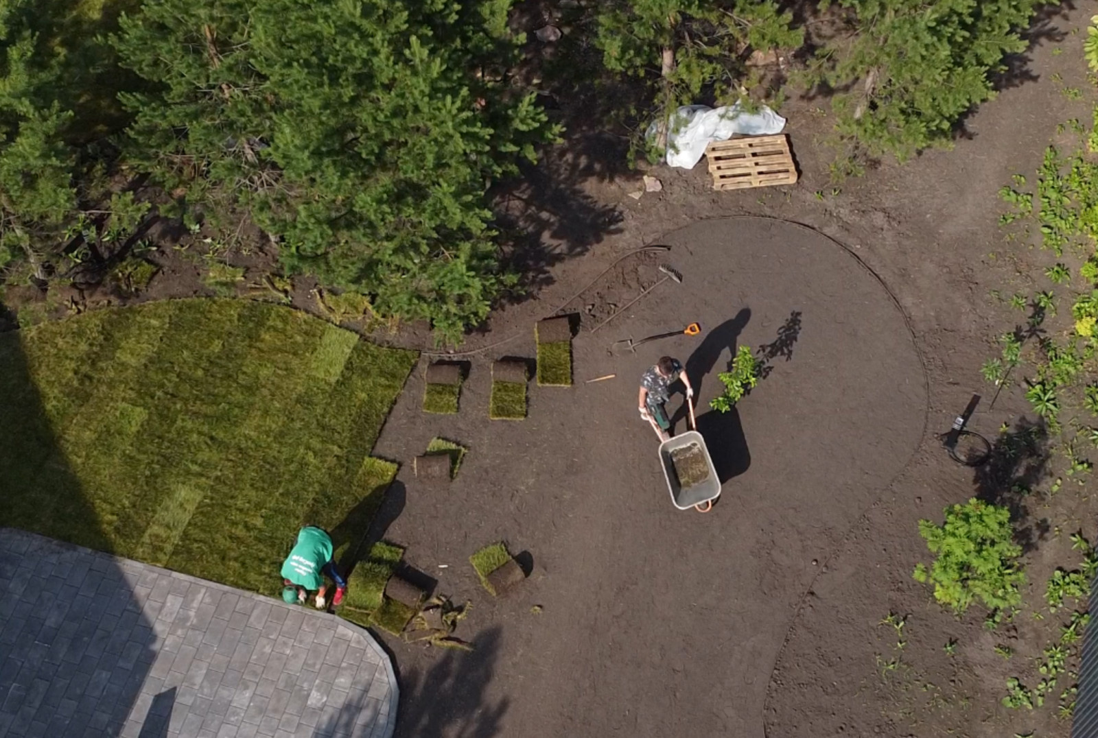 Рулонный газон Красноярск