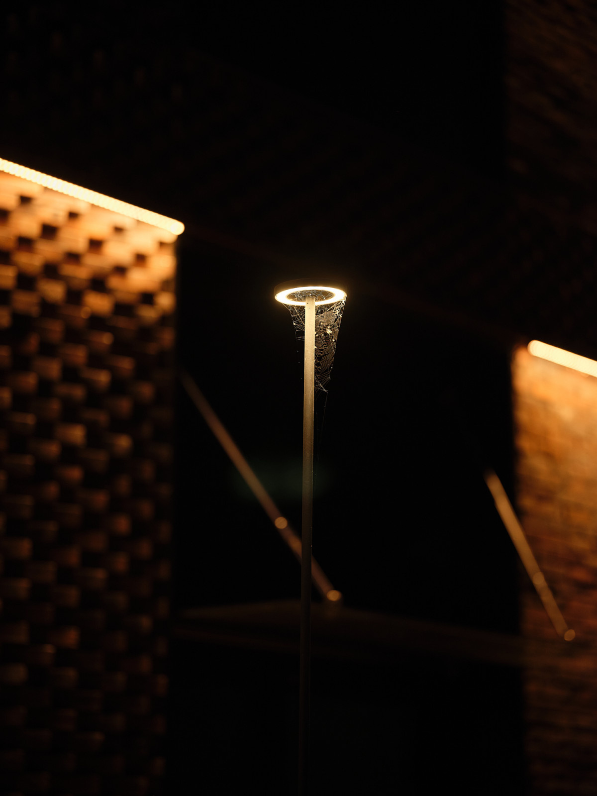 Фотосъемка ЖК "Клубный дом на Грязнова". Архитектор Александр Янов