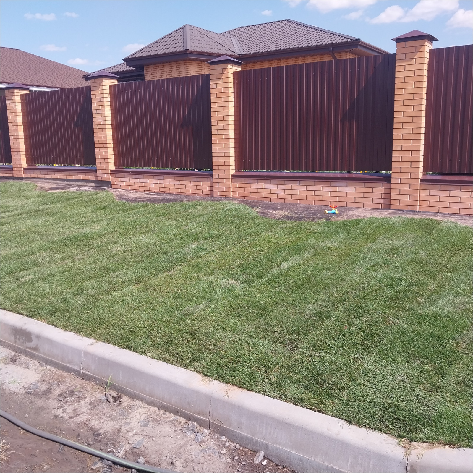 Посев газона