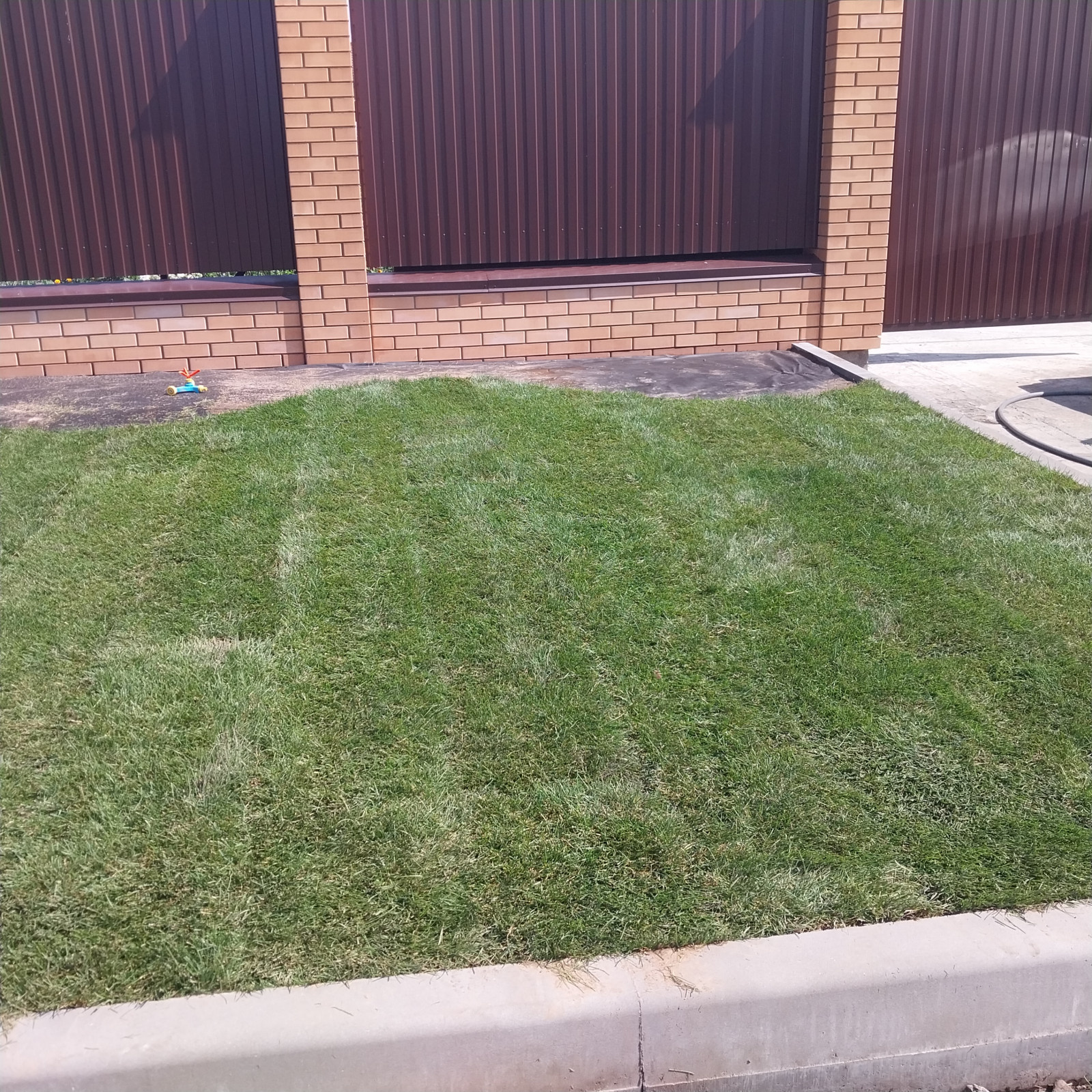 Обложка проекта: Укладка рулонного газона ИЖС Набокинские сады Старый Оскол