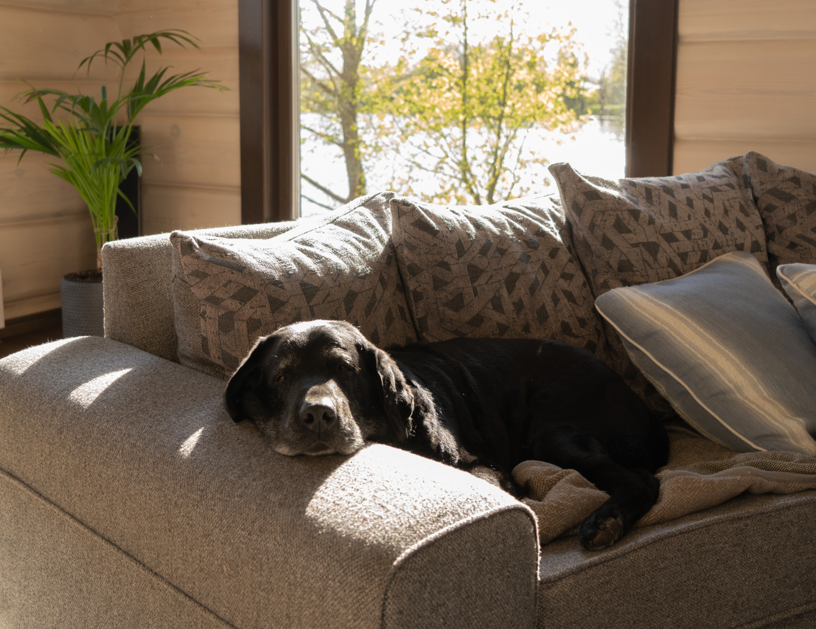 Деревянный дом в Кингисеппе