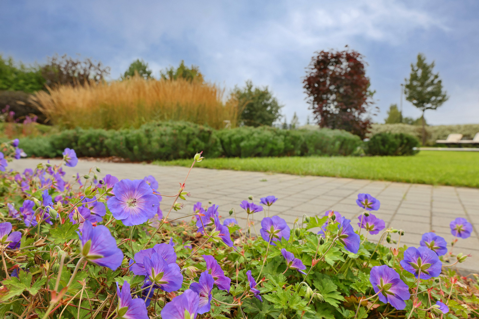 Коттеджный поселок "Высокий берег"