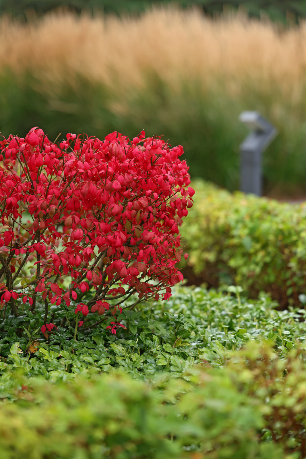 Коттеджный поселок "Высокий берег"