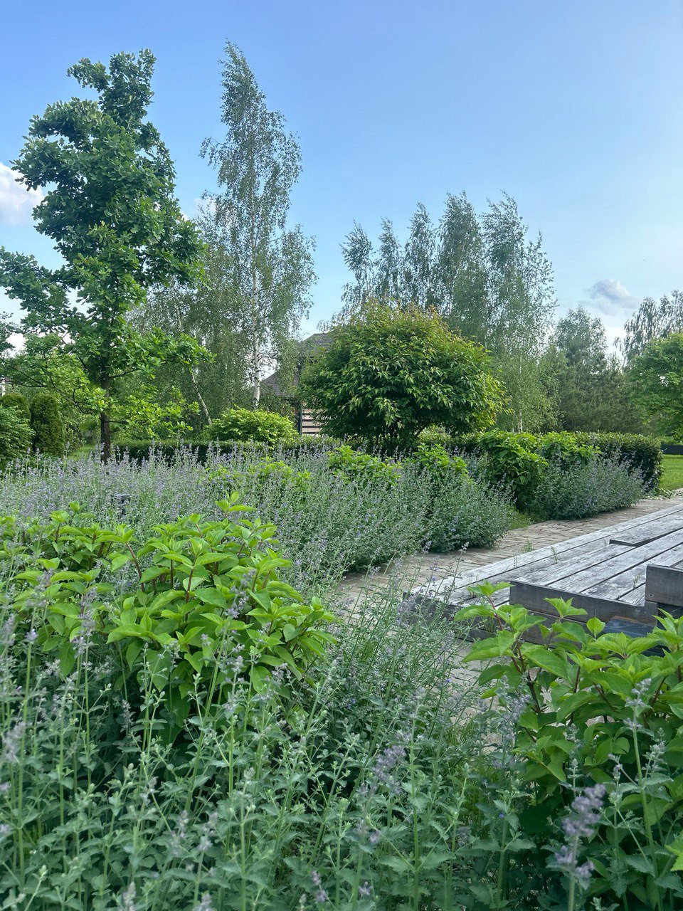 Коттеджный поселок "Новый Мир"