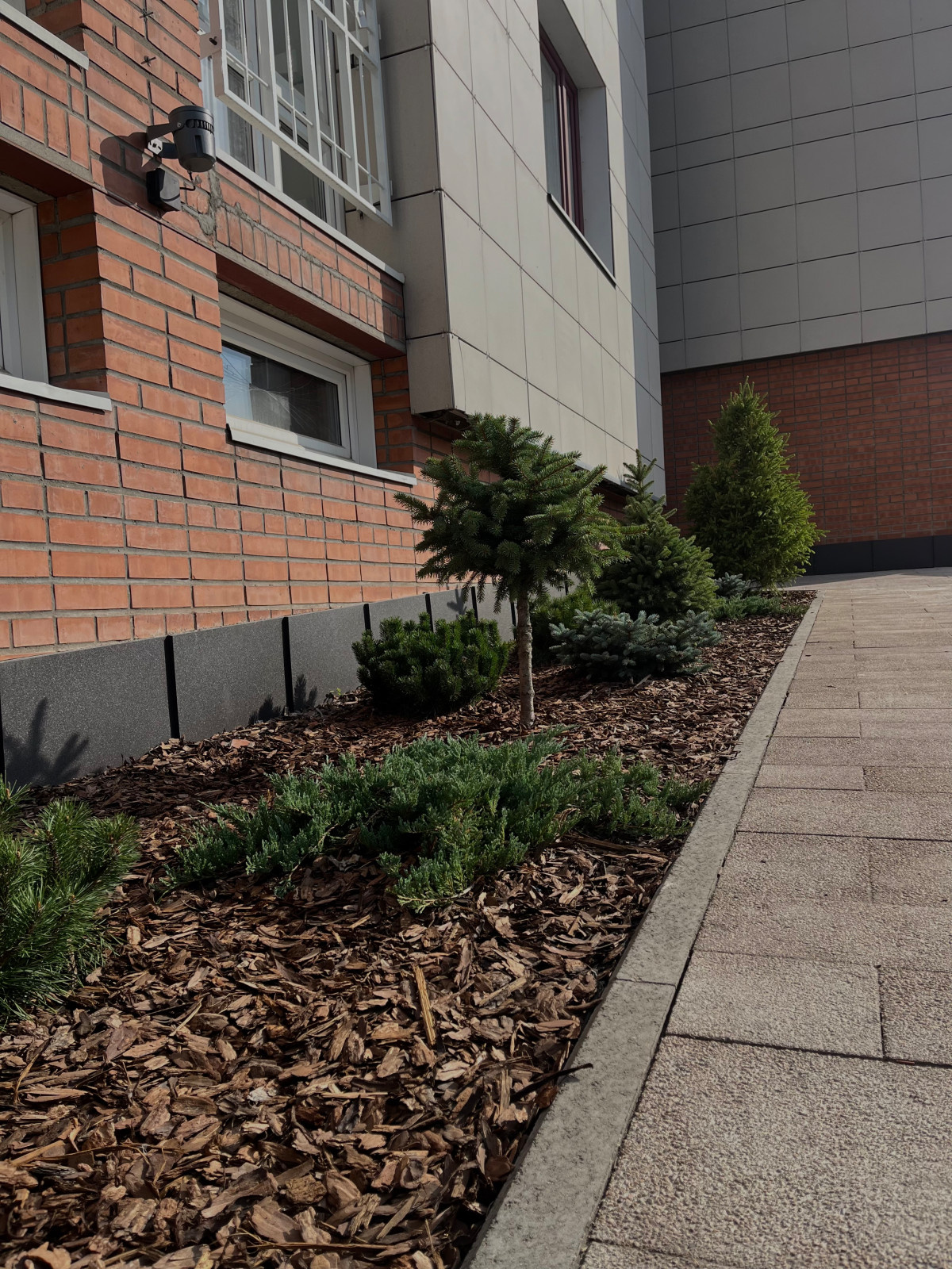 Территория стоматологии Альдента