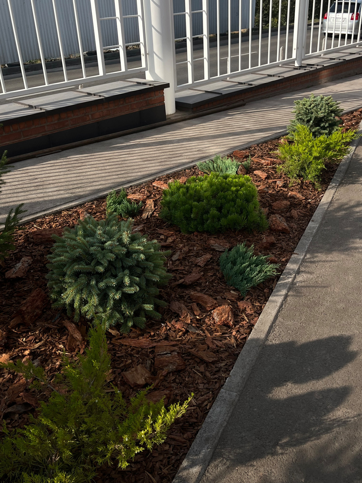 Территория стоматологии Альдента