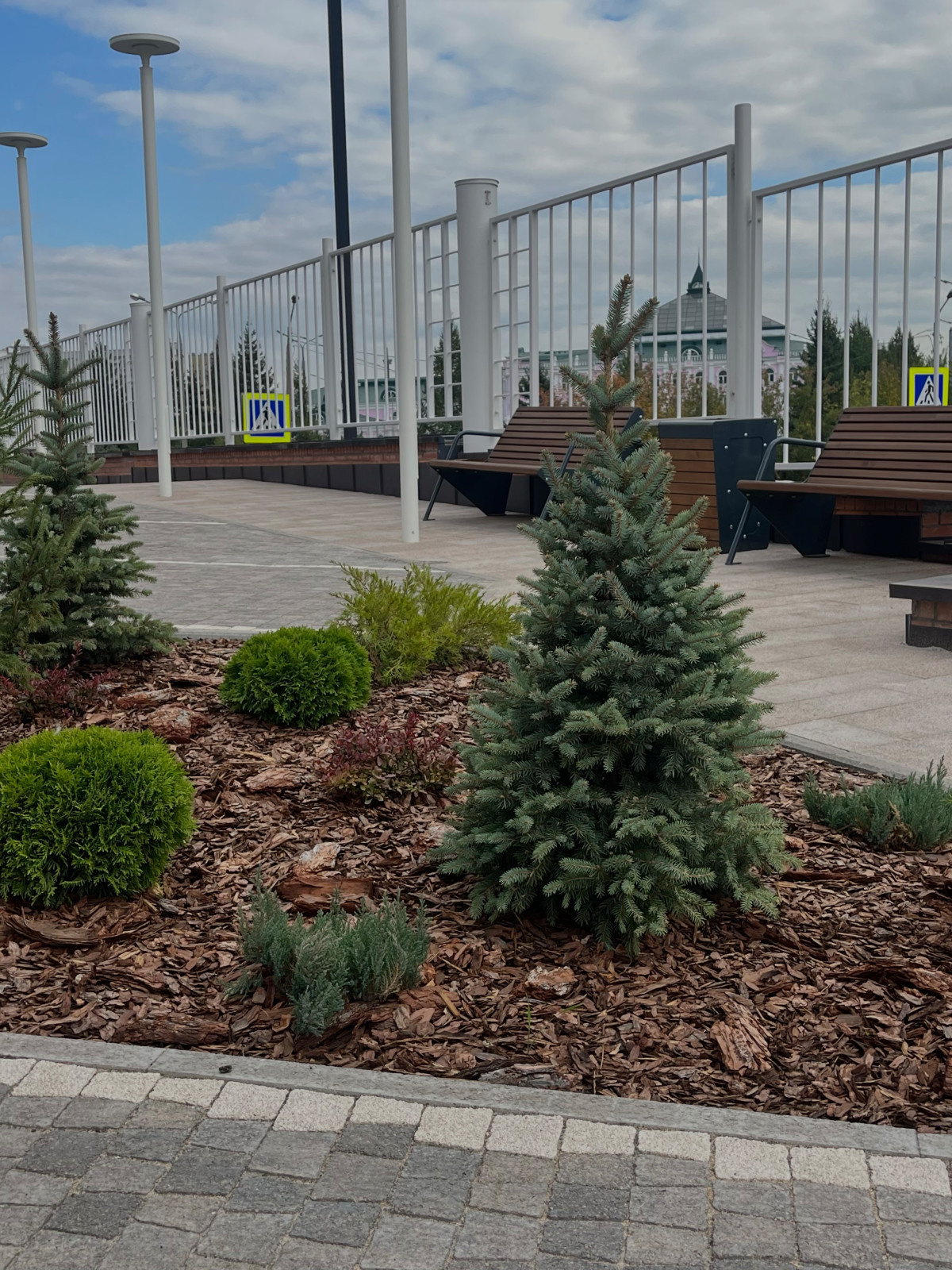 Территория стоматологии Альдента