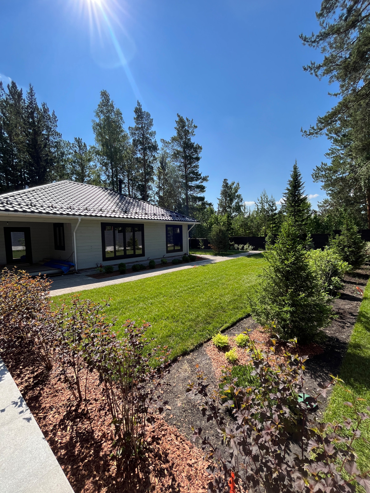 Обложка проекта: Хвойная Тишина