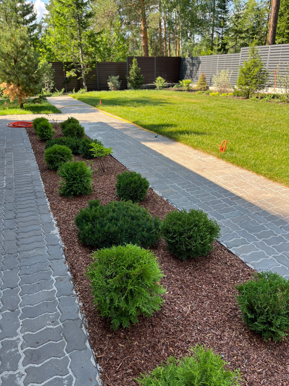 Хвойная Тишина