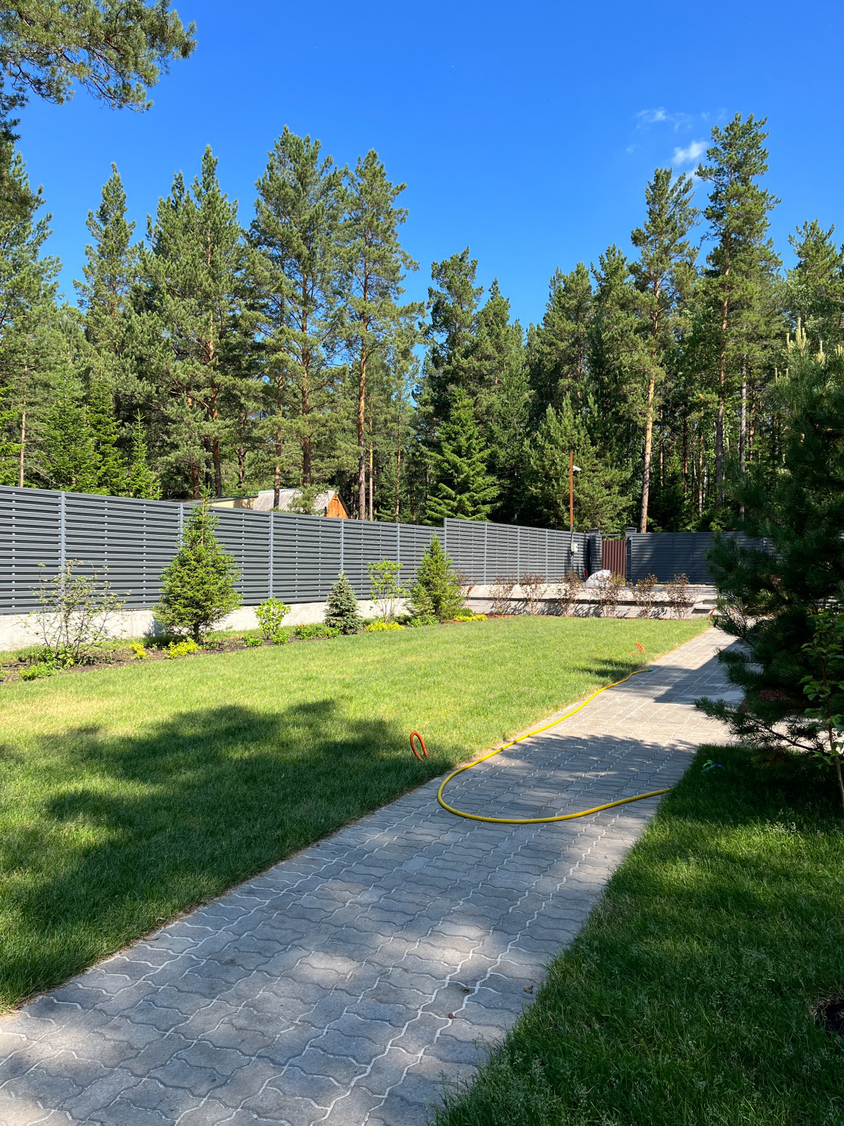 Хвойная Тишина