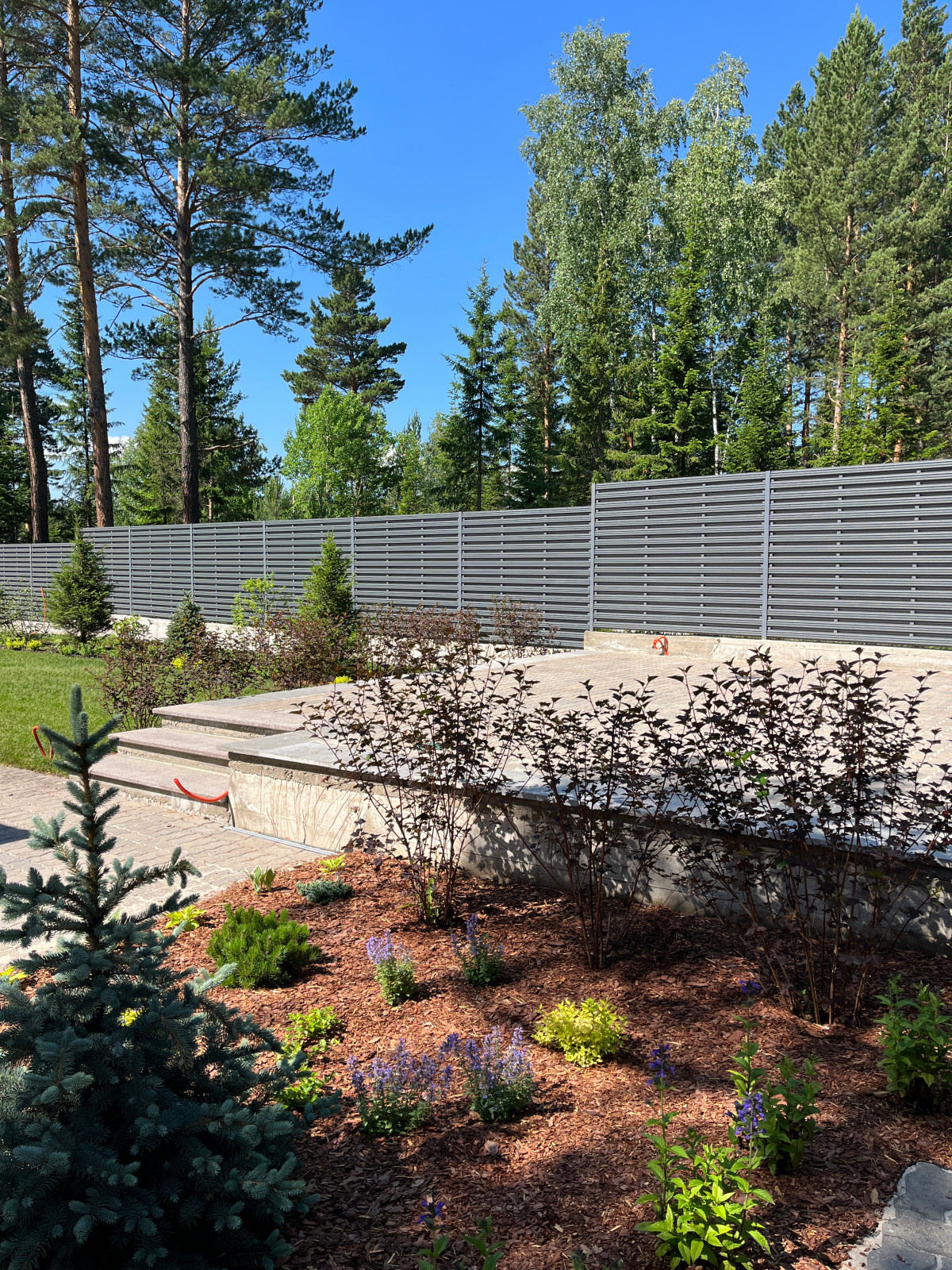 Хвойная Тишина