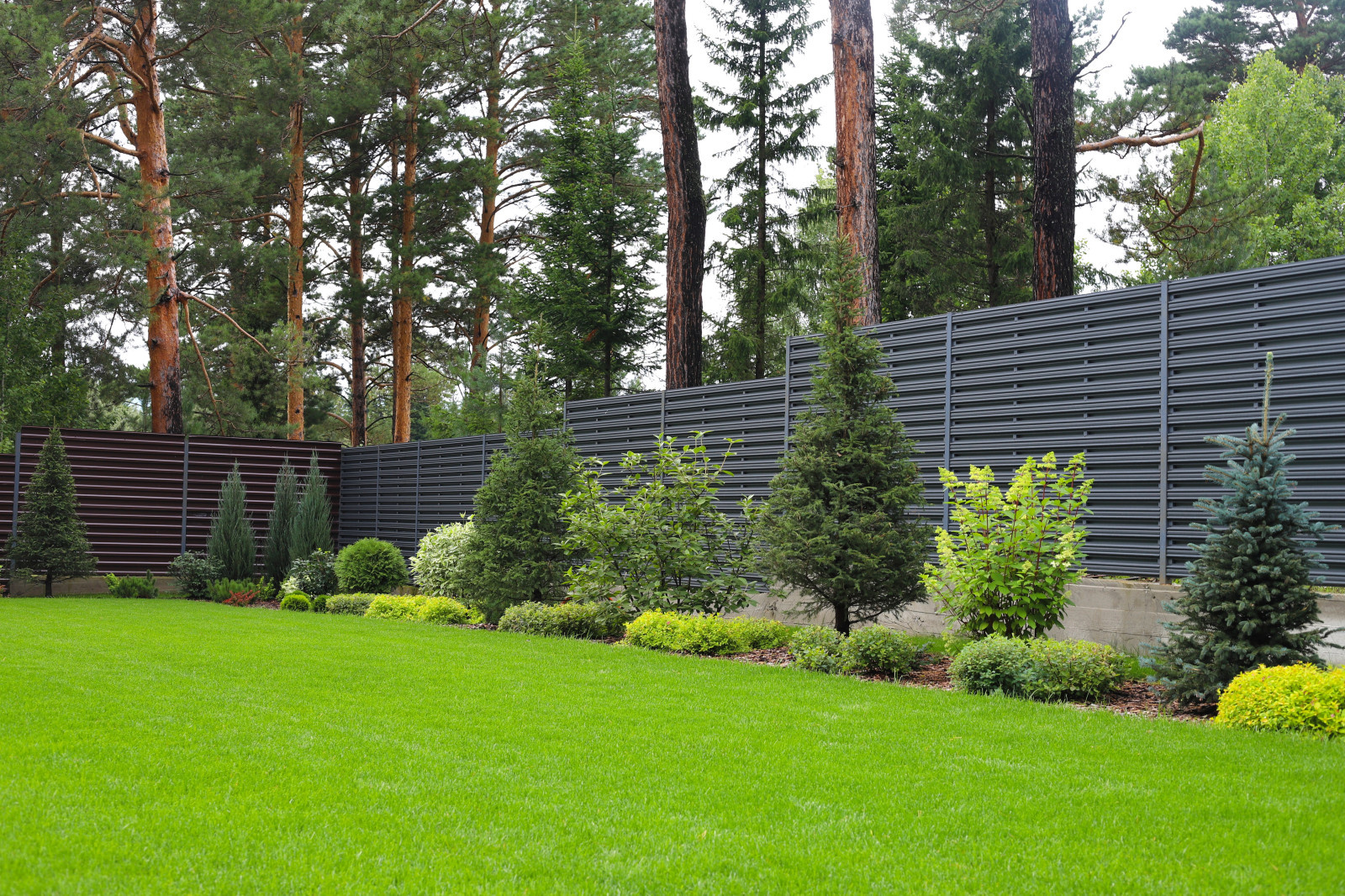 Хвойная Тишина