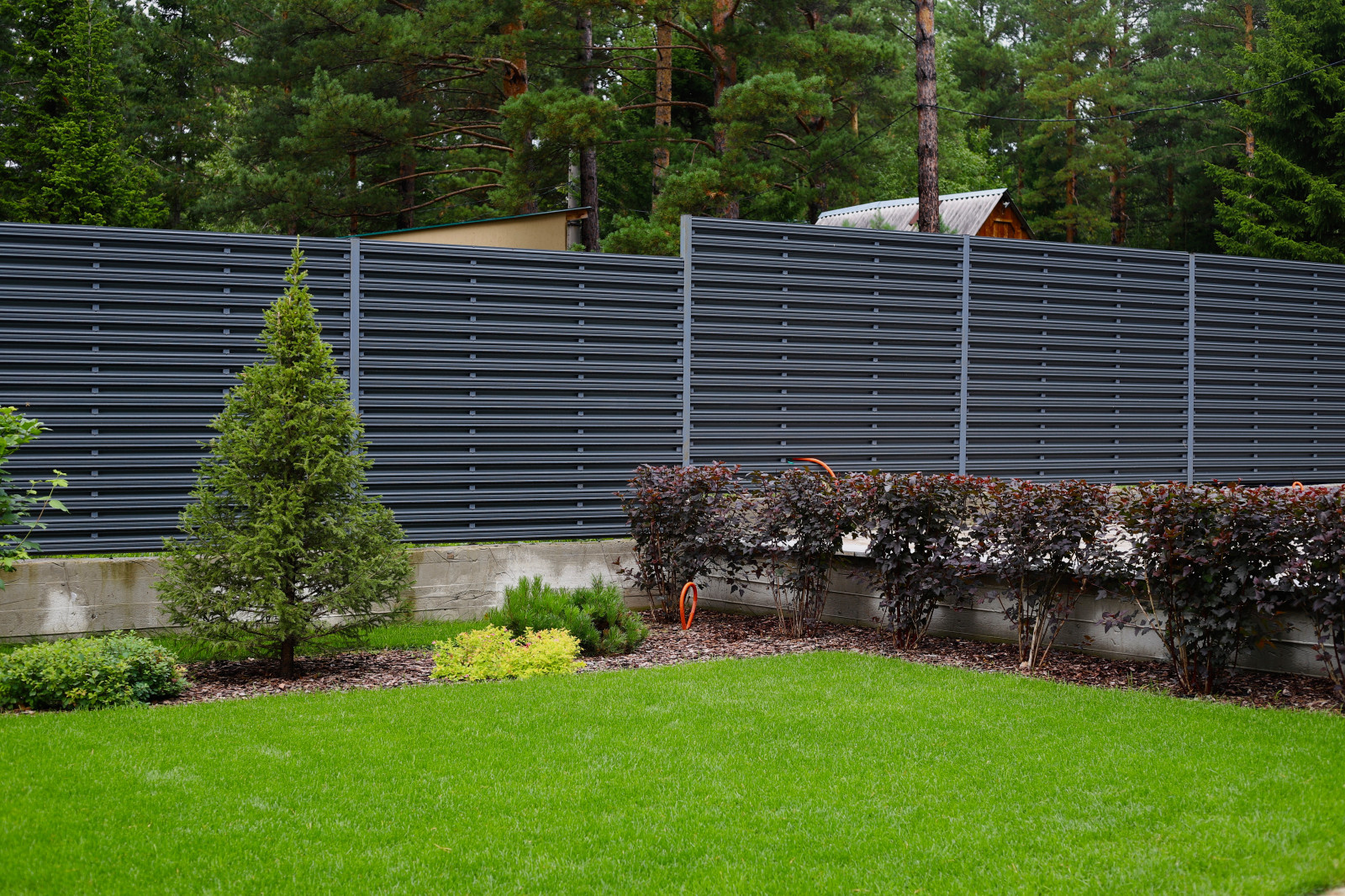 Хвойная Тишина