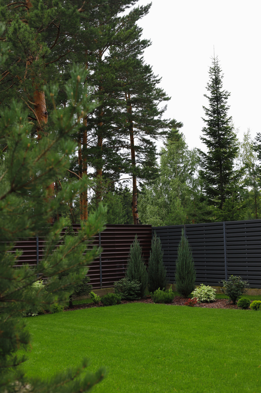 Хвойная Тишина