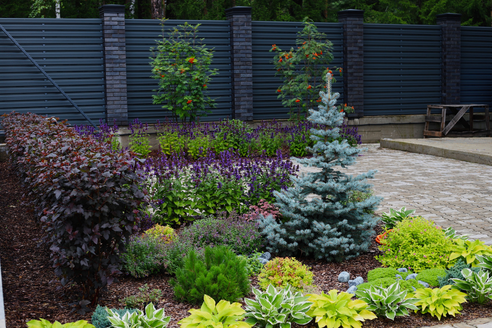 Хвойная Тишина