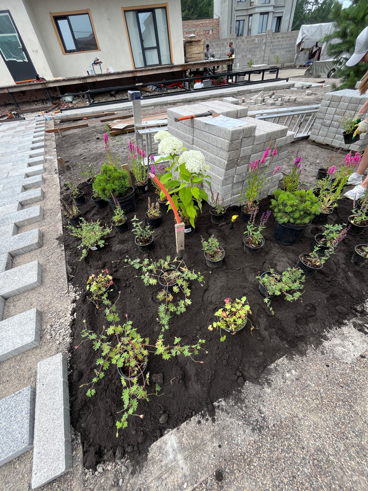 Обложка проекта: Видный