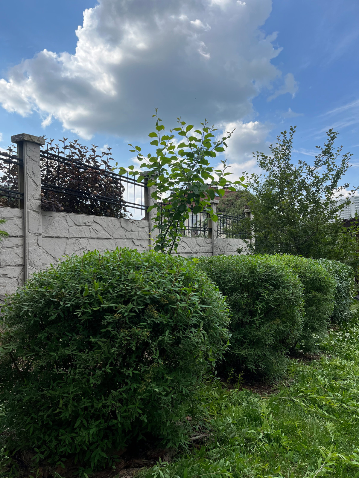 Сервисное обслуживание садов