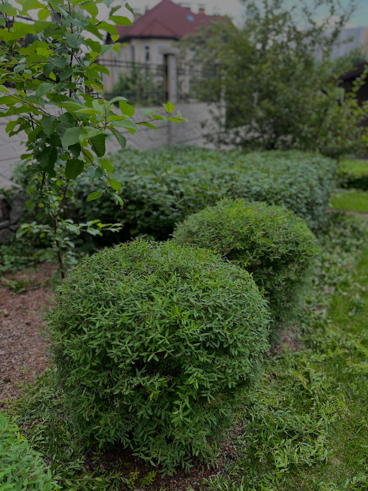 Сервисное обслуживание садов