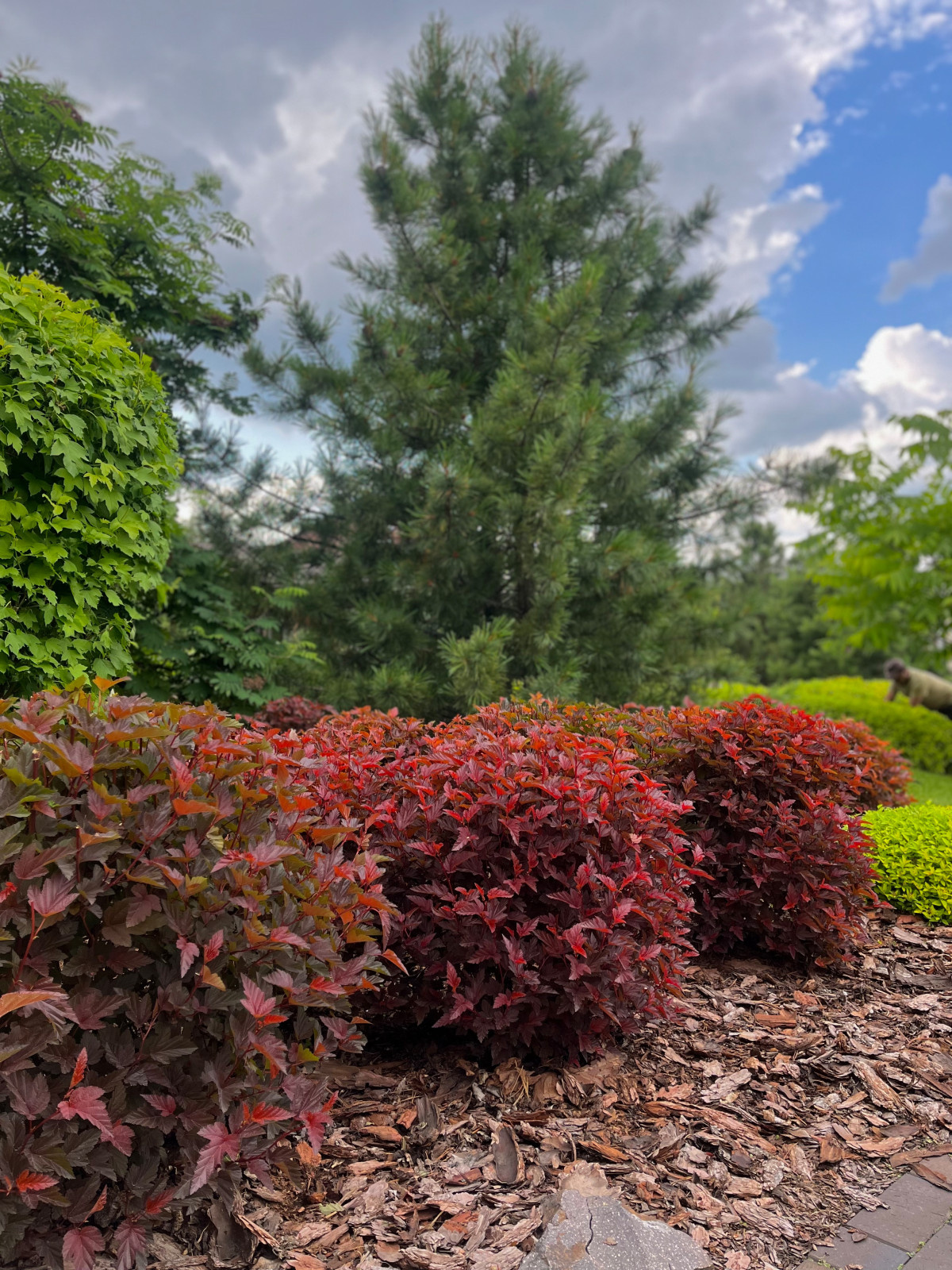 Сервисное обслуживание садов