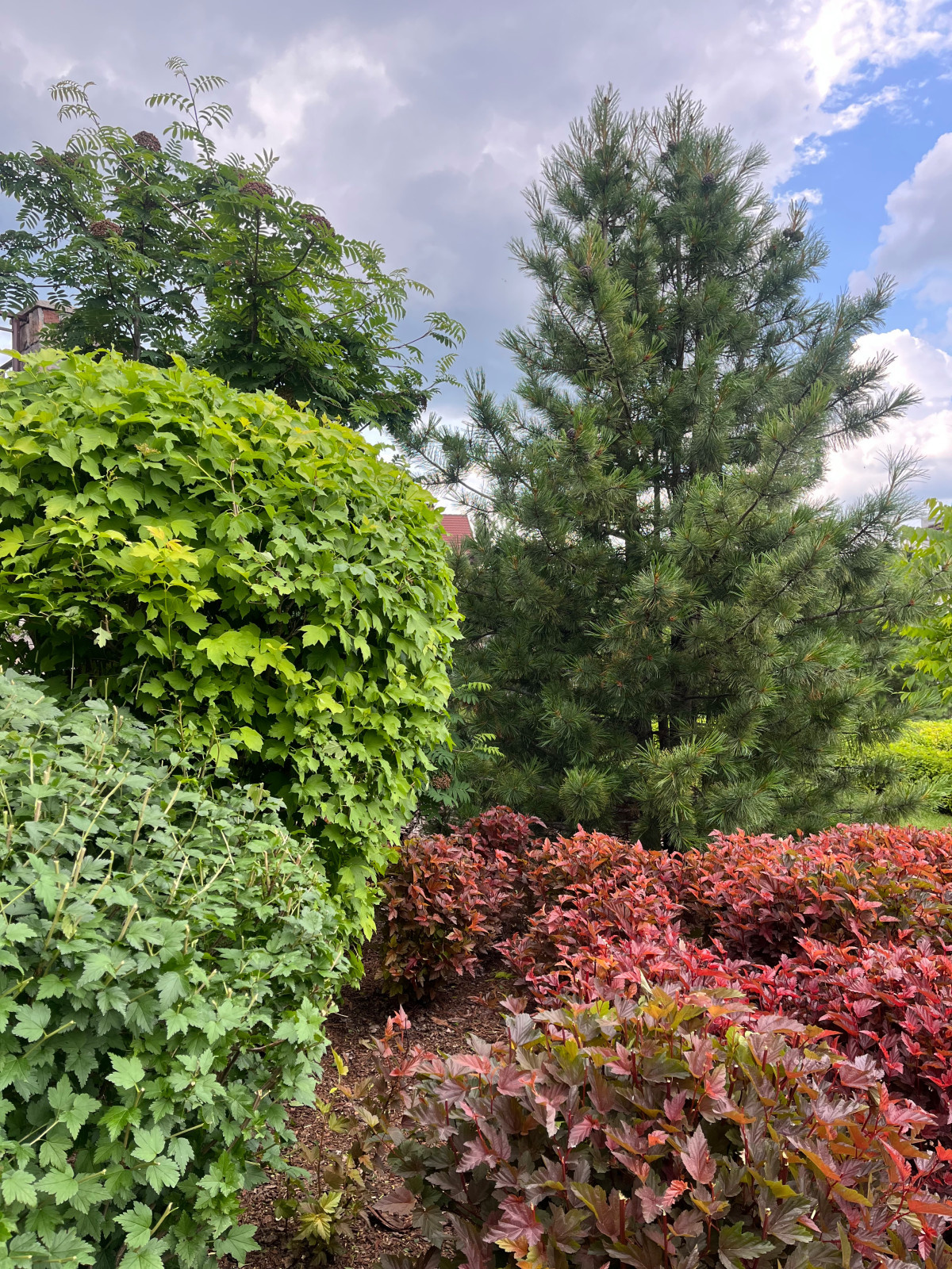 Сервисное обслуживание садов