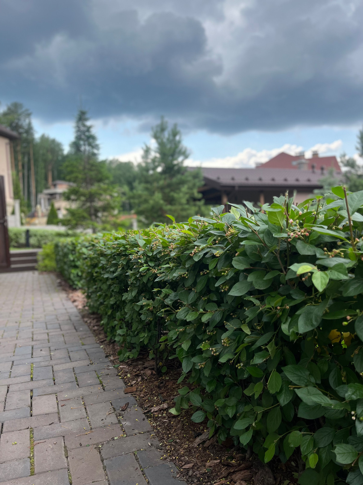 Сервисное обслуживание садов