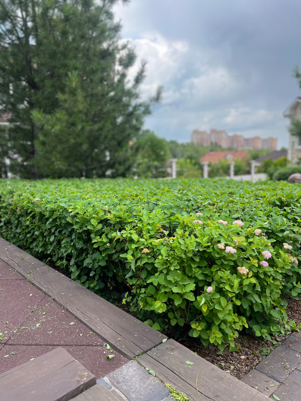 Сервисное обслуживание садов