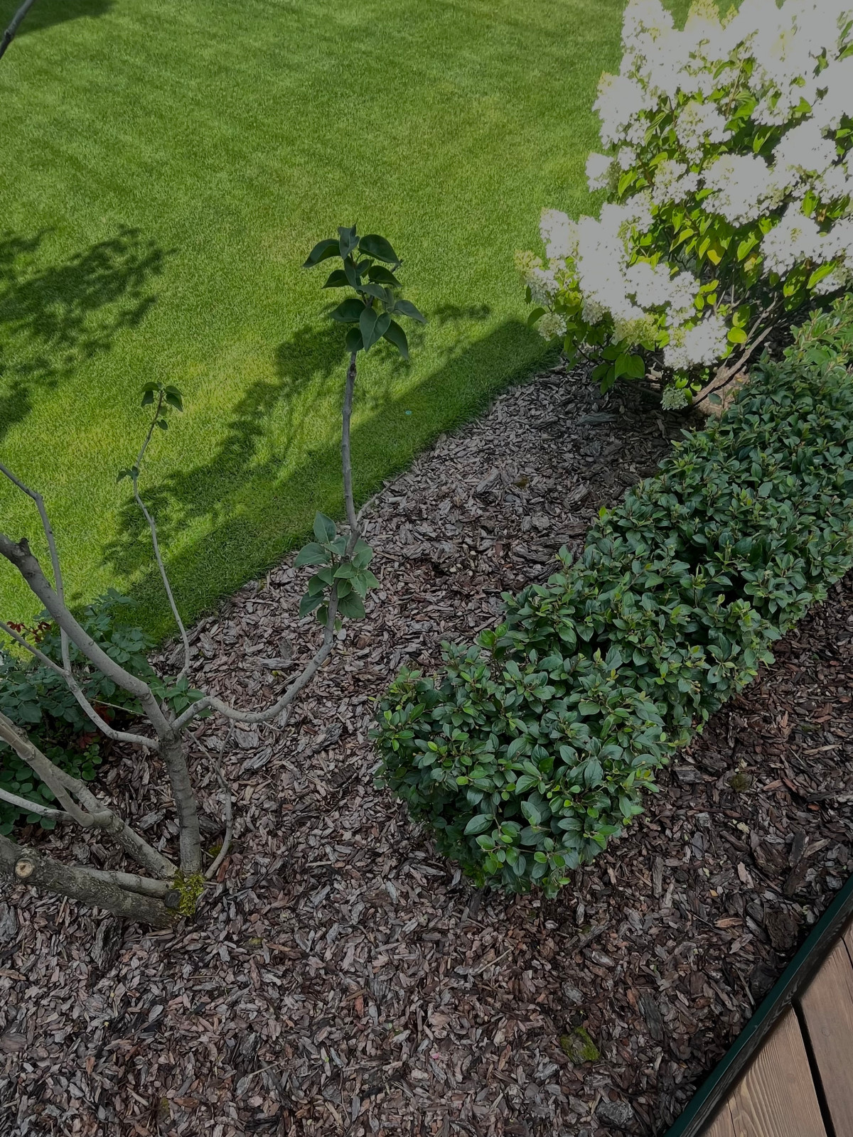 Сервисное обслуживание садов