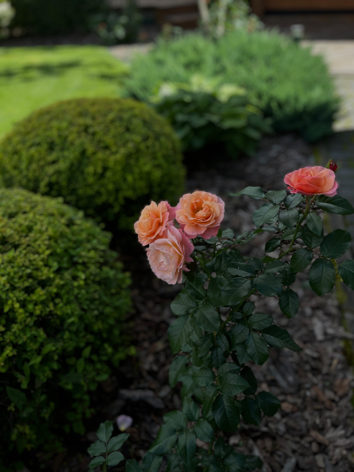 Сервисное обслуживание садов