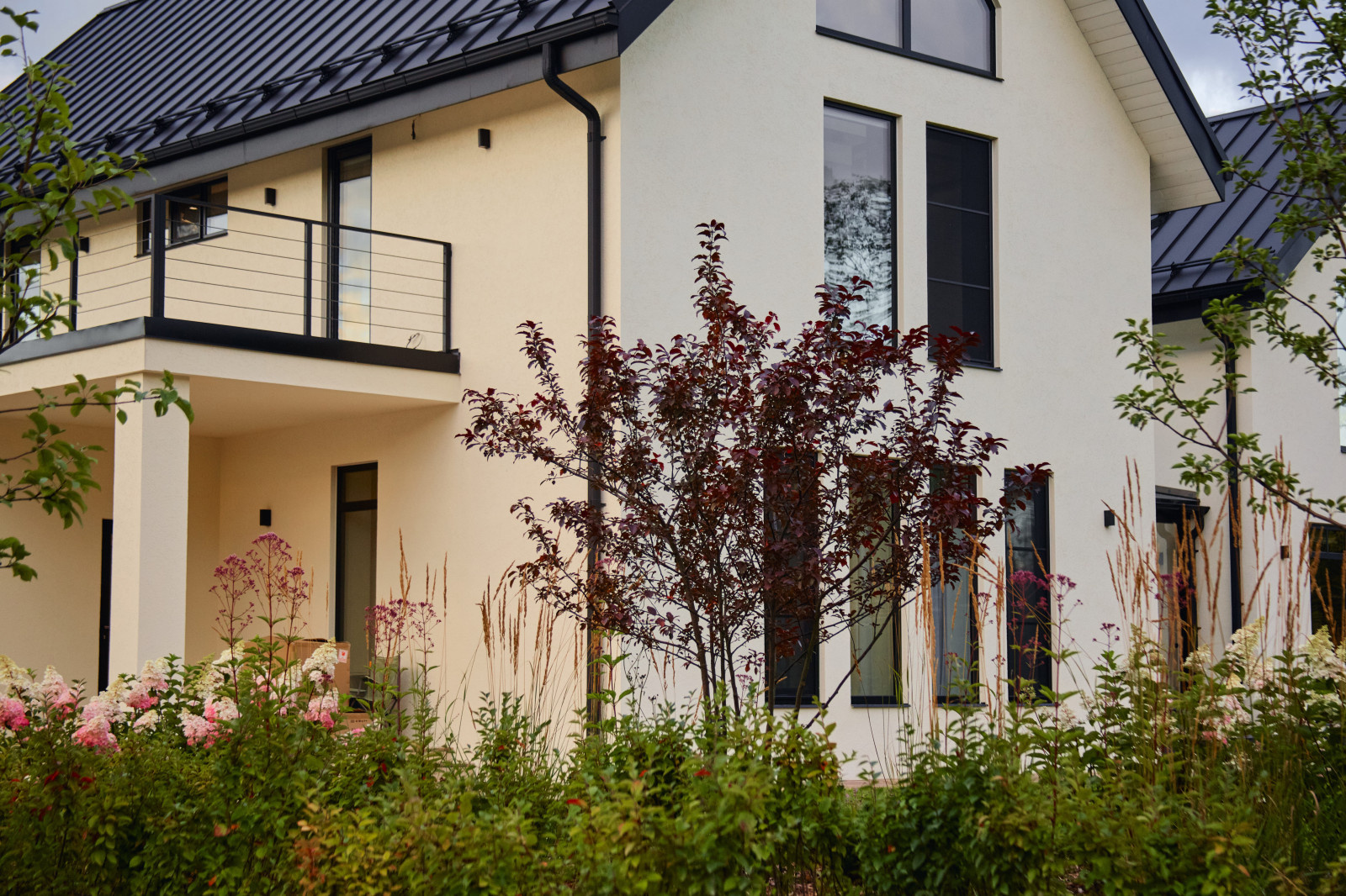 Обложка проекта: Репино Парк