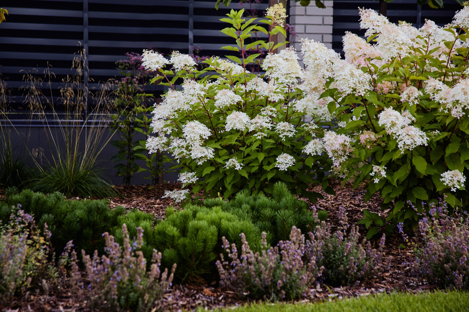 Репино Парк