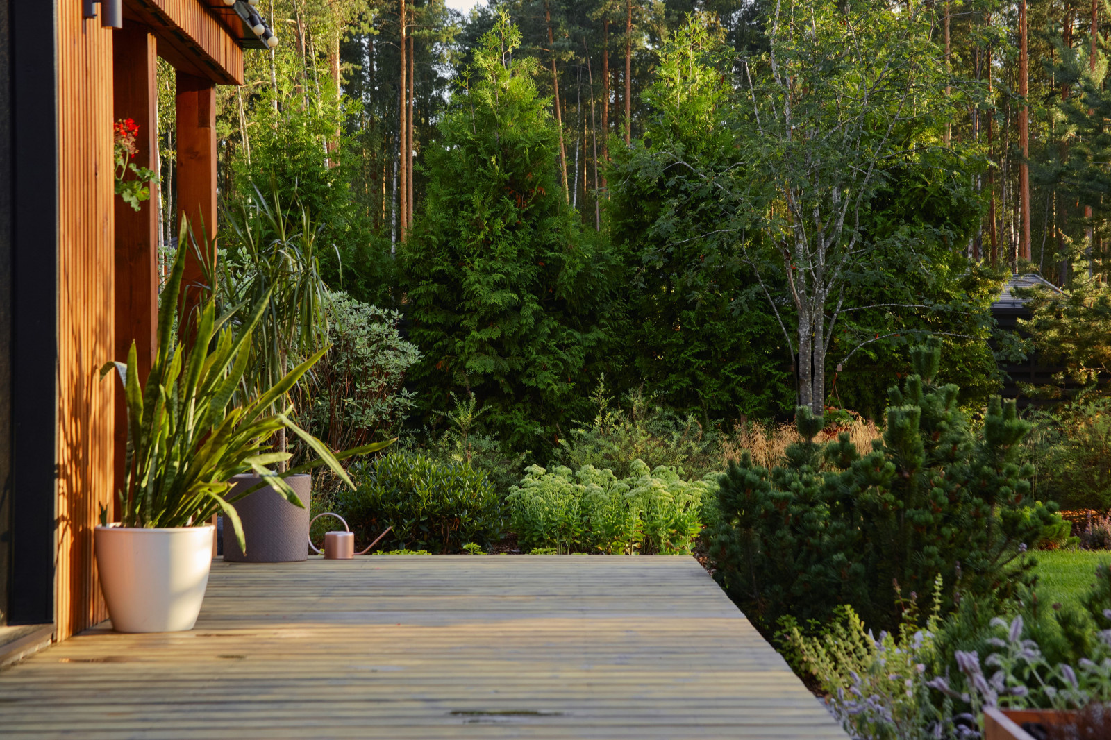 Репино Парк