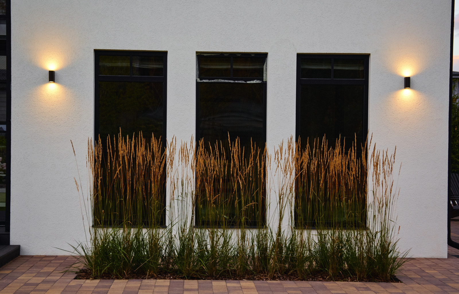 Репино Парк